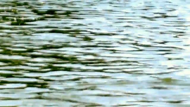 Щурово смотреть онлайн