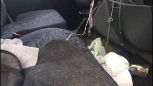 Обзор новой газели некст на ПНЕВМЕ+СПАЛЬНИК! / #Дальнобой196