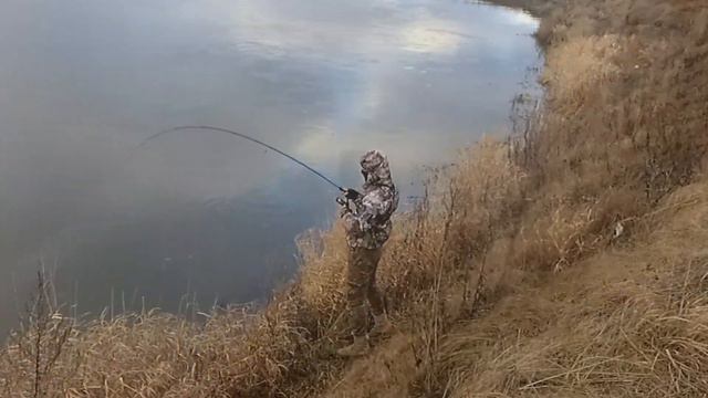 Fish_Drezna#live смотреть онлайн