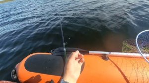 RIB Навигатор 370R. И снова рыбалка на Имандре  У острова Нестеров