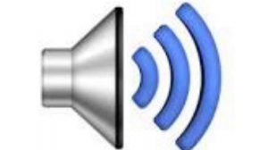 Звук дельфина. Для видео.