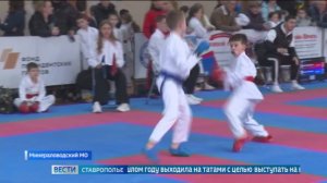 Краевые соревнования по каратэ прошли в Минводах