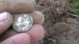 Подводные поиски с MINELAB CTX-3030 .
