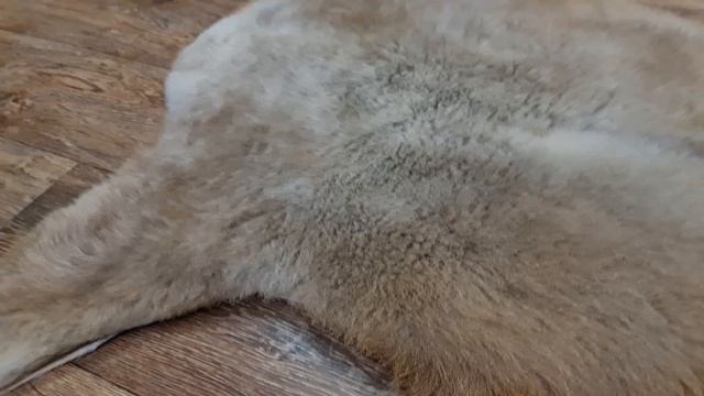 ШКУРА ОВЕЧЬЯ БЕЖЕВАЯ (КОД: 4833) смотреть онлайн