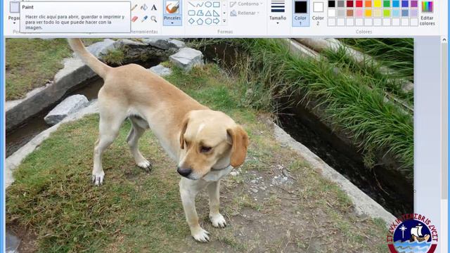 Como cambiar una foto JPG a formato PNG смотреть онлайн