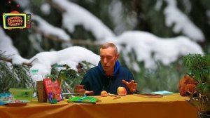 ПОЧЕМУ У ЛЮДЕЙ ТРОМБОЗ, АДЕНОМА, ДИАБЕТ! Островский. Фруктоза, простатит, мандарины. целитель