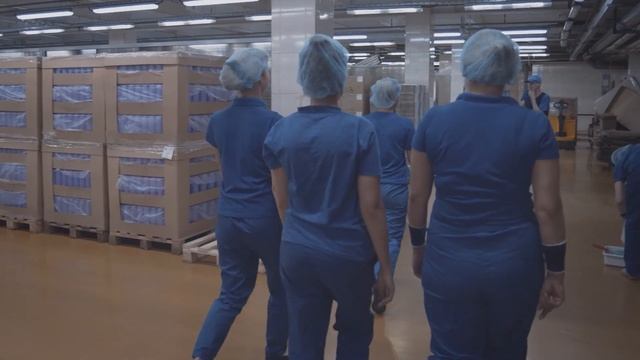 ESTEL planta смотреть онлайн