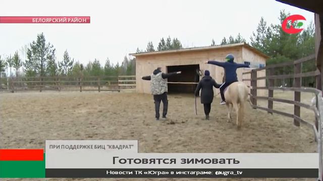 В конном клубе Белоярского готовятся к зиме смотреть онлайн