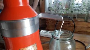 Сепарируем  молоко на сепараторе  Мотор сич-100. Получаем густые  сливки. Натурпродукт!