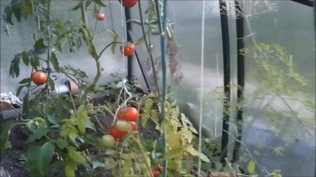 Осеняя дача,отпуск,жизнь в селе.Урожай.Роспись стены смотреть онлайн