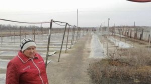 Виноград Виктора Елисеева 2022 март часть2
