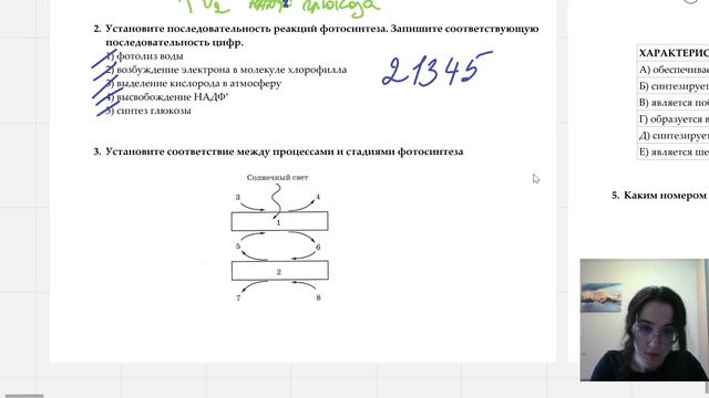ФОТОСИНТЕЗ - РЕШАЕМ ЗАДАНИЯ | ПРАКТИКА | БИОЛОГИЯ ЕГЭ