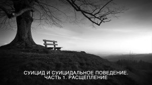 Суициды и суицидальное поведение. Часть 1. Расщепление