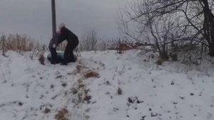 Грызаны.  ноябрь 2020г