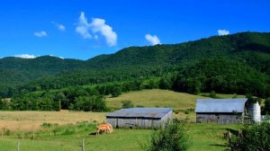 Let The Sunshine On The People--Stonewall Jackson