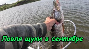 Ловля щуки в сентябре на воблеры