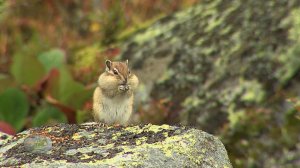 Фильм 'Притяжение двух озёр'