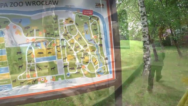Зоопарк во Вроцлаве – самый большой зоопарк в Польше