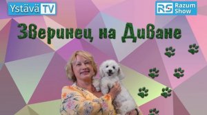 Ахатина — самая большая улитка в мире и отличный домашний питомец!