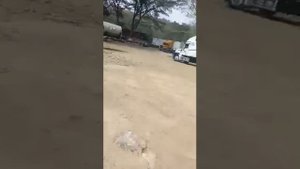 Freightliner Century class