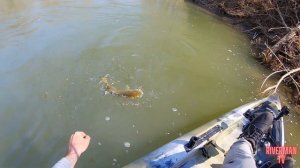 Kayak Fishing the Prettiest River in Illinois