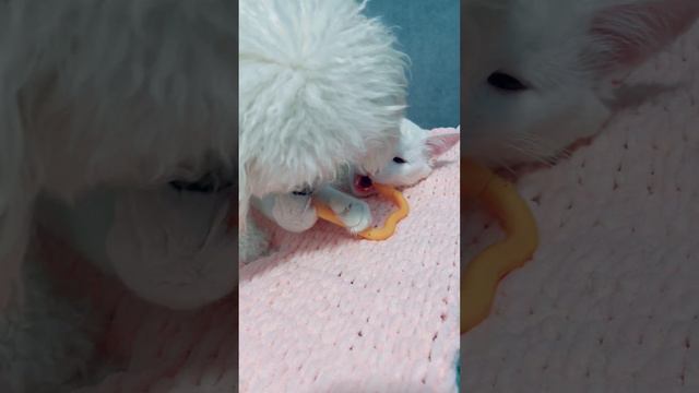 Хорошо что мы есть друг у друга ❤️