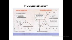 Микробиология СЕРОЛОГИЧЕСКИЕ РЕАКЦИИ