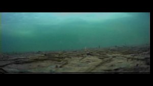 Как работают РАТЛИНЫ С Алиэкспресс, подводные съёмки.