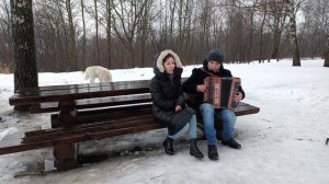 Домик стоит над рекою - казачий романс #гармонь #народнаяпесня