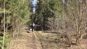 Красивые места Подмосковья / Лесное озеро / Пушкинский р-н / Тишково / Поход выходного дня / пвд