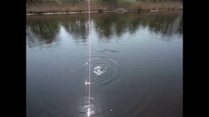 Ловля сома на Днепре