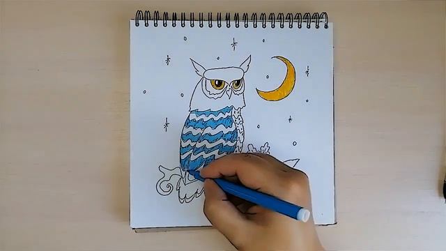 Как нарисовать сову. Сова раскраска смотреть онлайн