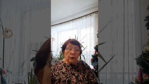 Высокий уровень развития Души или код тысячника 3811
