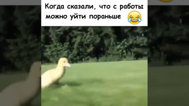 Когда сказали что с работы можно уйти по раньше. смотреть онлайн