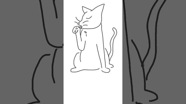 Kitty animation ?