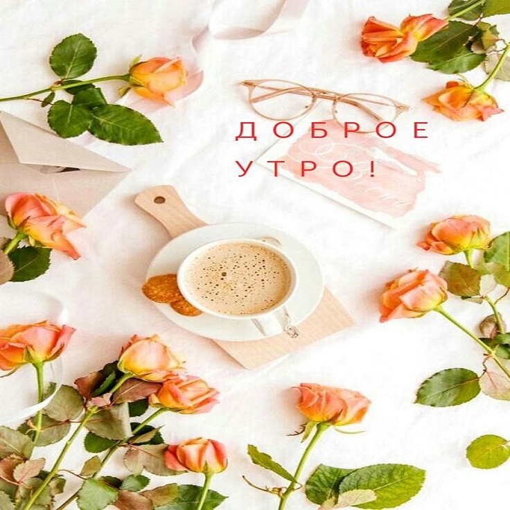 Доброе утро! Хорошего продуктивного дня, прекрасного настроения