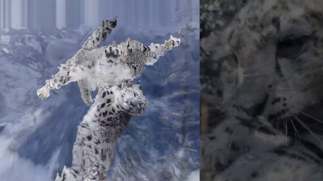 Снежный БАРС или Ирбис Интересные ФАКТЫ и легенда смотреть онлайн