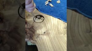 Карагач - одна из самых прочных и красивых пород дерева для производства мебели.
