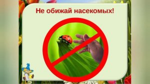 Правила поведения в лесу для детей дошкольного возраста