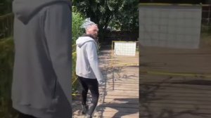 покусали осы