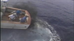 рыбалка прикол, огромная рыба утащила рыбака, жесть