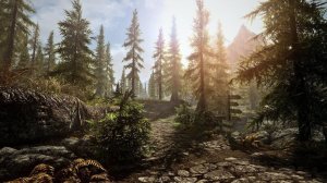 Прохождение TES Skyrim SLMP GR #39 Барабан Рьорна