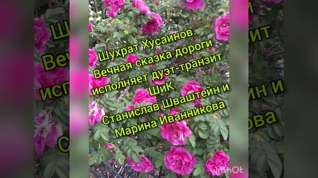 5 августа 2022 г. смотреть онлайн