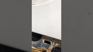 LG DirectDrive замена манжеты в стиральной машине. Как поменять? Машинка течёт.