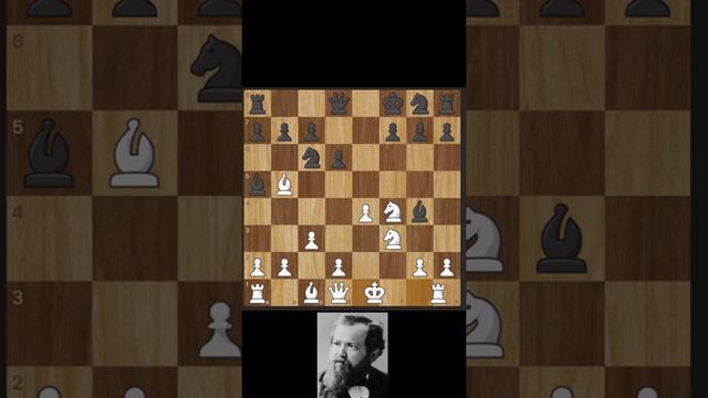 Wilhelm Steinitz nice games