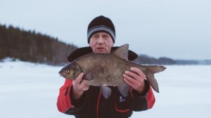 Бешеный клёв. Онлайн трансляция. Ловля подлещика/леща. Макароны в деле. Часть 2.