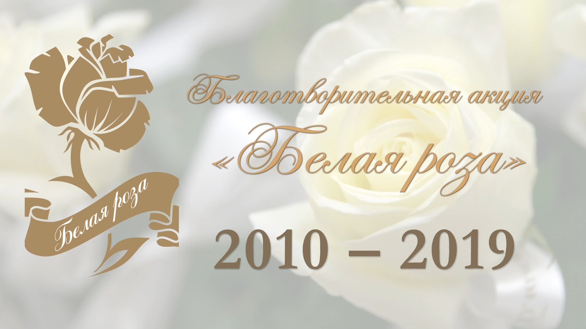 Белые розы благотворительный центр. Белые розы благотворительный центр. Белые розы благотворительный центр. Белые розы благотворительный центр. Белые розы благотворительный центр.
