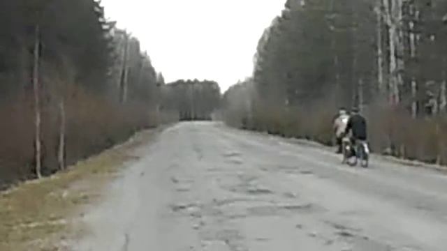 Поездка на велосипедах с собакой смотреть онлайн