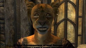 Oblivion Бесконечно переносимый вес #17