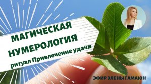 Занимательная и магическая нумерология. Привлекаем удачу!